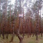 Табличка в лесу Табличка в лесу