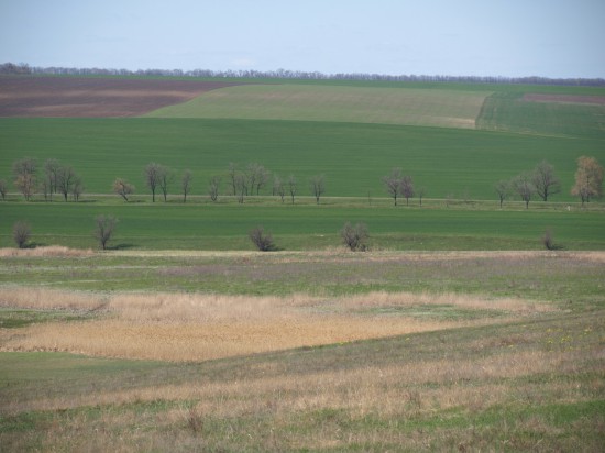 Эррозия на полях Украины