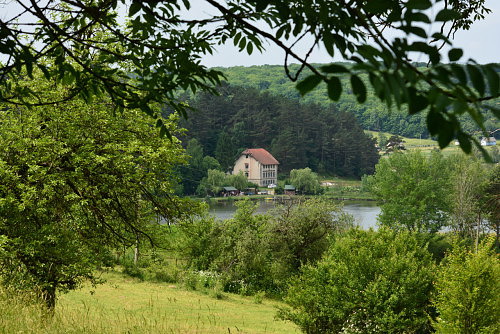 Свирж