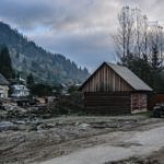Карпаты пилят лес