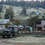Карпаты пилят лес