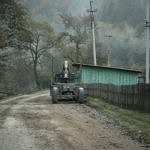 Карпаты пилят лес