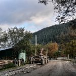 Карпаты пилят лес