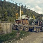 Карпаты пилят лес