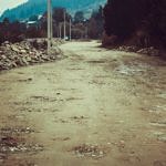 Карпаты