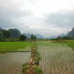 , Agriculture