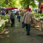 Local, Food