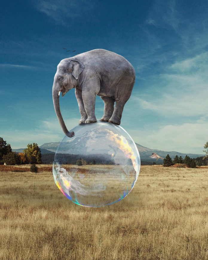 Elephant Bubble Balance Surreal  - DimaDim_art / Pixabay