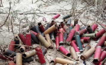 Мисливство в Україні невід’ємно пов’язане з системною жорстокістю