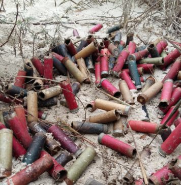 Мисливство в Україні невід’ємно пов’язане з системною жорстокістю