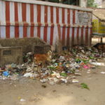 India — Sights & Culture — Common garbage dump outside a temple
