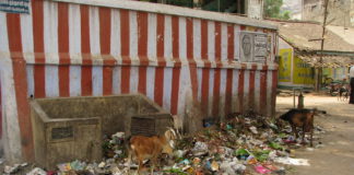 India - Sights & Culture - Common garbage dump outside a temple