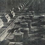 бандеровцы