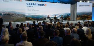 Карпати на заклання: кому потрібне економічне зростання ціною знищених гір
